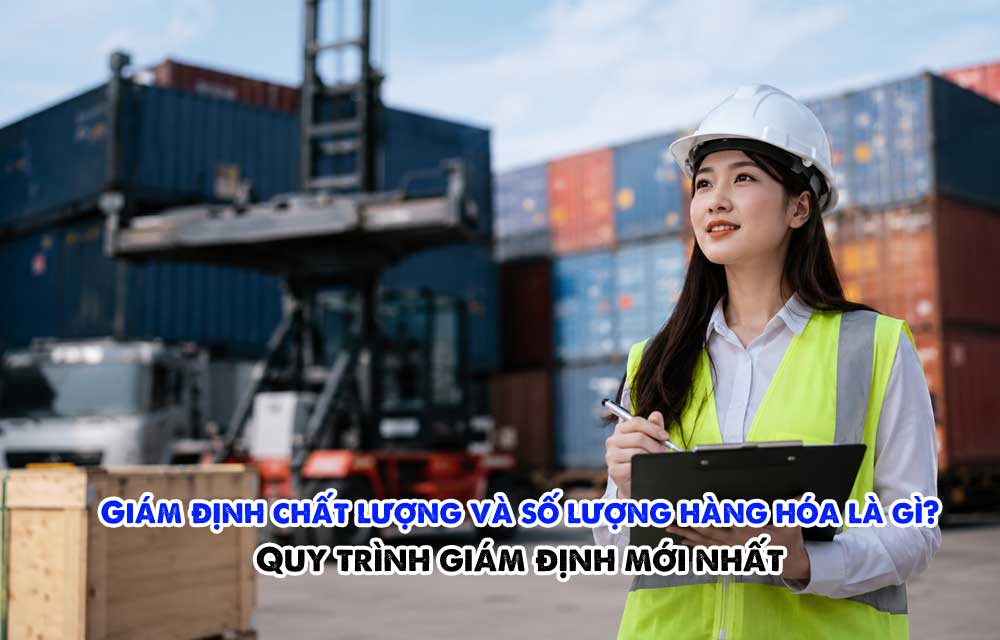 Giám định chất lượng và số lượng hàng hóa là gì? Quy trình giám định mới nhất