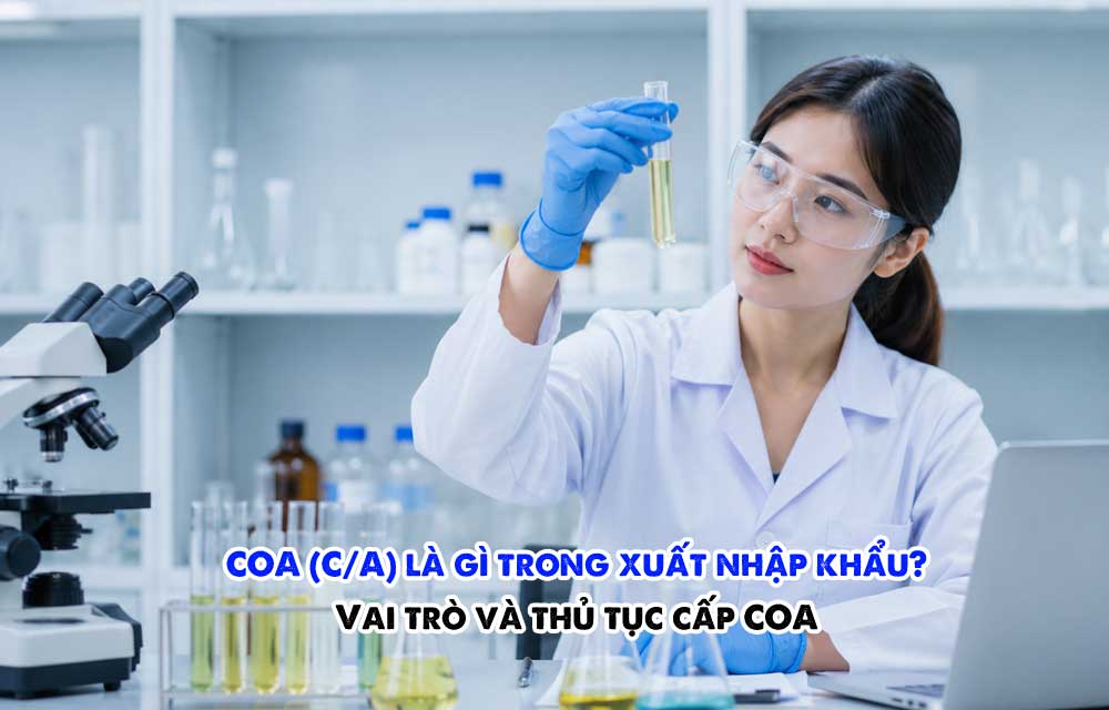 COA là gì trong xuất nhập khẩu? Vai trò và thủ tục cấp COA